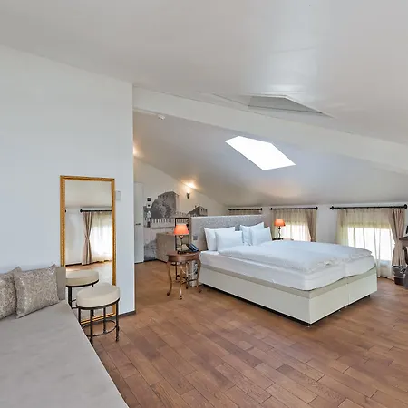 Boutique & Business La Tureta Hotel